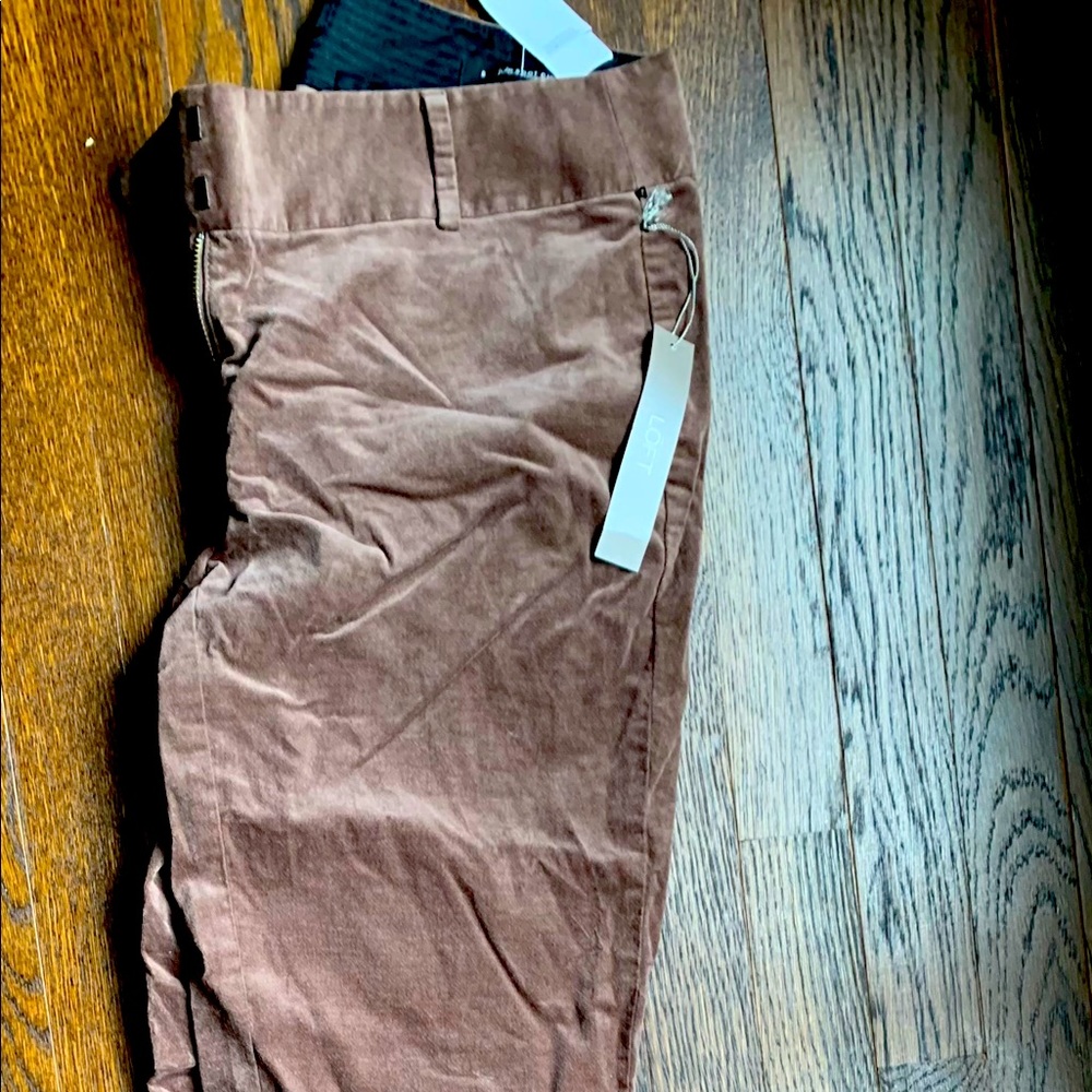 NWT Loft Julie Velour Bootcut Pants - Size 6